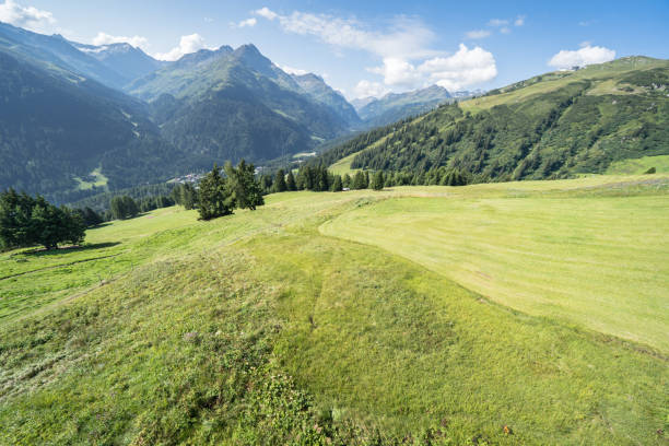istock Idyllic summer landscape in the Alps 1213001922