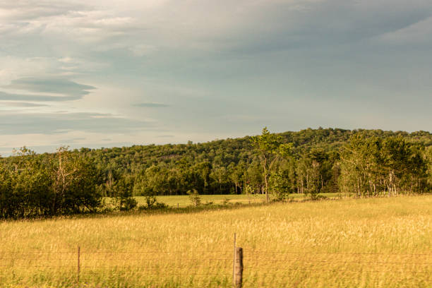 istock Eastern Ontario country side 1213002742