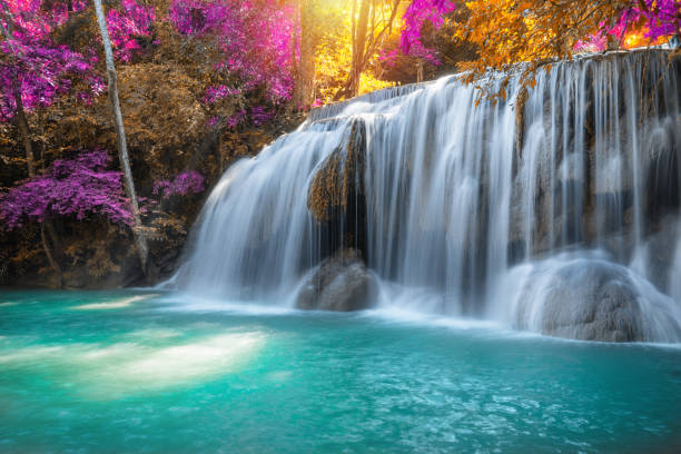 istock waterfall nature season spring in forest 1213003901