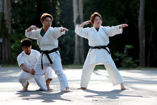 istock Taekwondo Coaching Clinic 1213004121