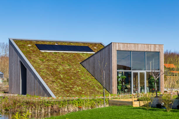 Eco friendly houses in Almere Netherlands Almere, Netherlands,March 12, 2020: Modern Eco friendly tiny house in experimental new destrict Oosterwold in Almere. almere photos stock pictures, royalty-free photos & images