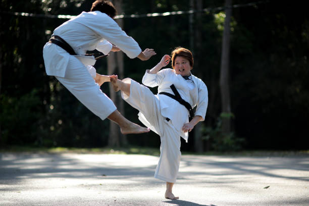istock Taekwondo Coaching Clinic 1213004300