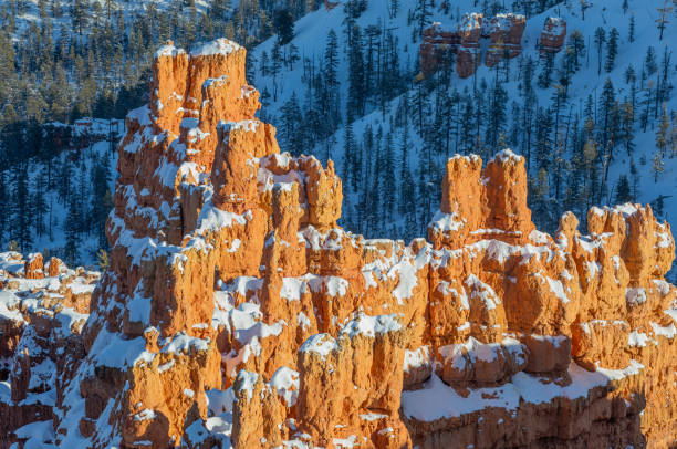istock Winter Scenic in Bryce Canyon Utah 1213009116