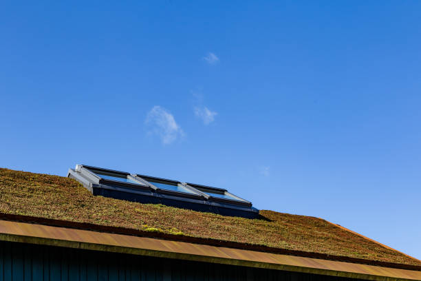 istock Modern green roof with sedu, 1213009516