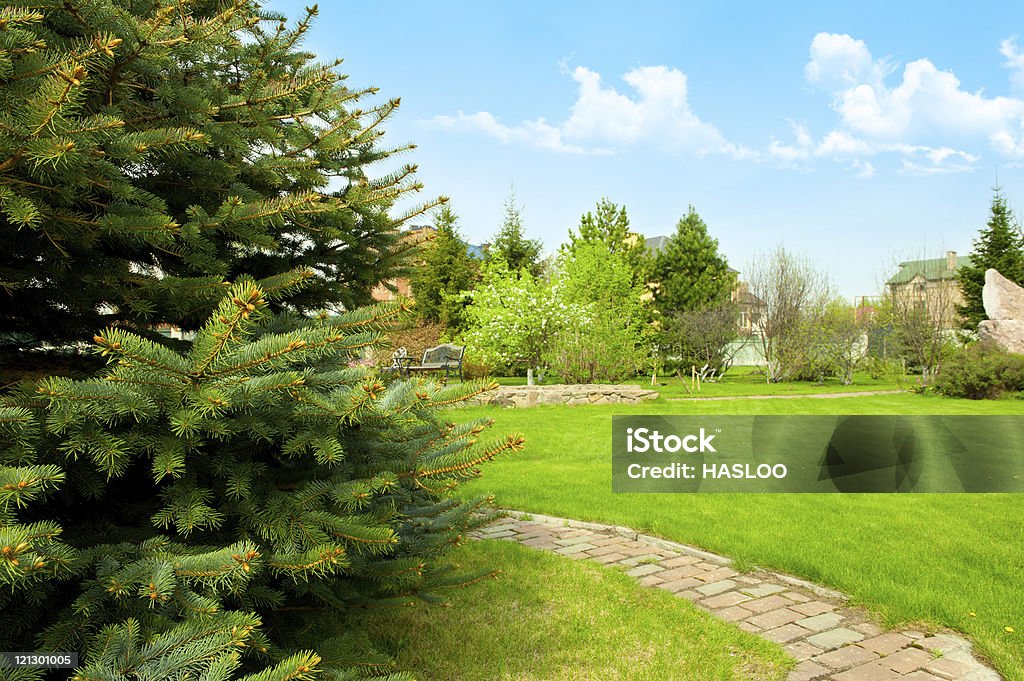 Ландшафтный сад на заднем дворе дома - Стоковые фото Мощёный двор роялти-фри