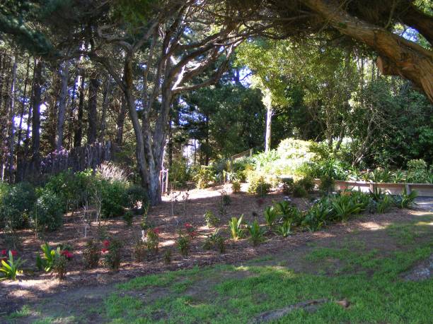 istock New Zealand formal garden 1213011499