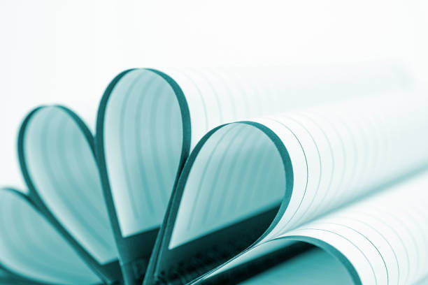 Blank open diary with folded, fanned pages in lines and selective focus as education, business and other thematic concept.