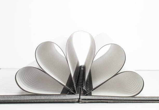 istock Blank open diary with folded, fanned pages in lines and selective focus as education, business and other thematic concept. 1213012469