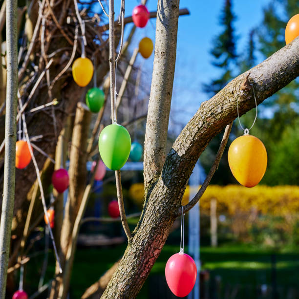 Colorful Easter eggs on branches in the garden as a decoration for Easter.