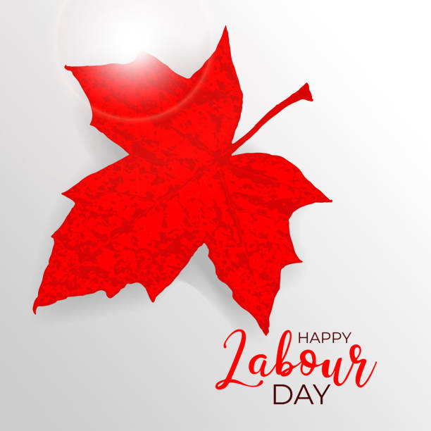 illustrazioni stock, clip art, cartoni animati e icone di tendenza di etichetta vettoriale happy canada labour day con foglia d'acero rosso su sfondo bianco. striscione del giorno del lavoro canadese, poster, volantino, cartello, biglietto d'auguri con simbolo nazionale - leaf canadian culture maple leaf canada