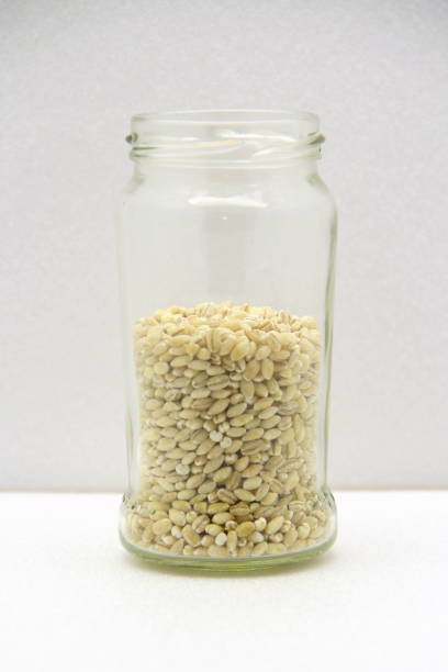istock Glass jar with barley on a white background, side view 1213014360