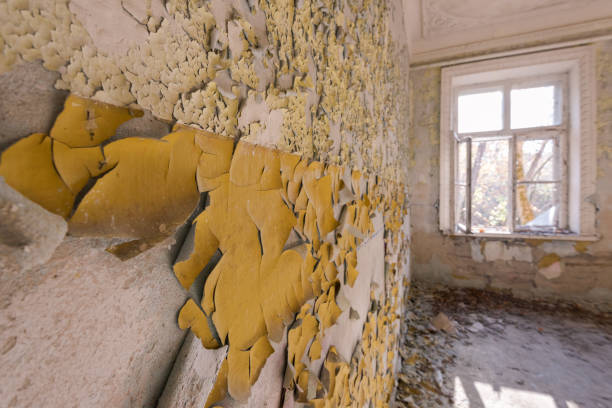 Paint peeling off wall in abandones house