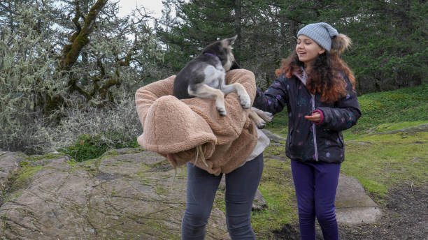 istock Puppy jumps onto young woman's back 1213019310