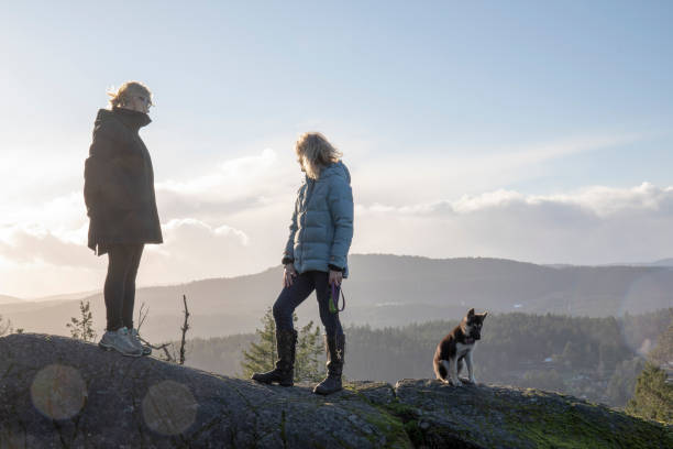 istock Female hikers pause on mountain ridge 1213019945