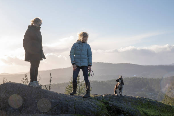 istock Female hikers pause on mountain ridge 1213020037