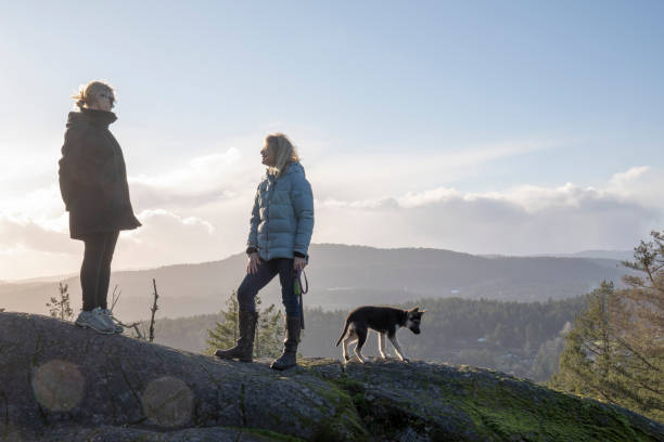 istock Female hikers pause on mountain ridge 1213020066