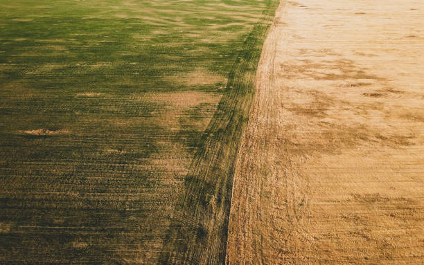 istock Agricultural fields aerial view. wide meadow landscape. grass background 1213021756