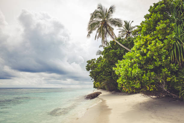 istock tropical beach, maldives 1213023124