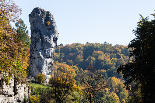 Limestone rock formation called Bludgeon of Hercules or Maczuga Herkulesa, Pieskowa Skala at beautiful autumn colors, Krakow-Czestochowa Upland, Poland