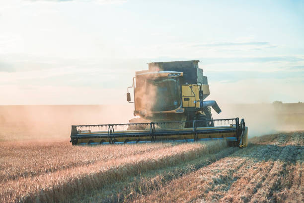 istock One combine harvester or thresher in agricultural field 1213027364