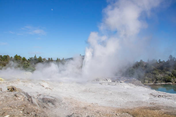 istock New Zealand: Pohutu Geyser in Rotorua 1213027436