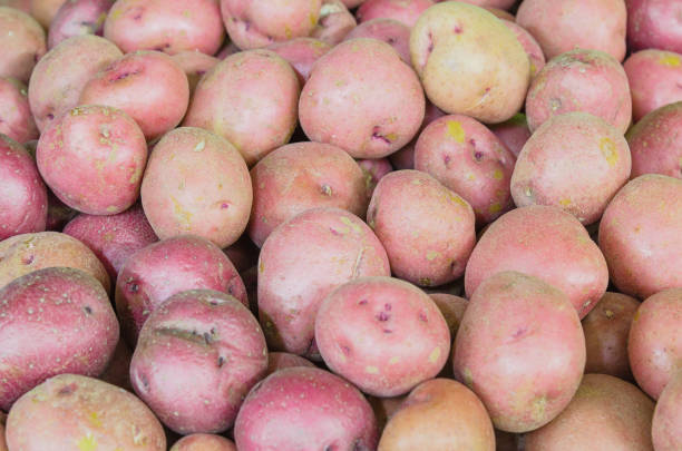 istock Organic red potatoes full frame view tuber crops background 1213030046