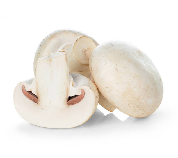 istock Mushroom champignon isolated on white background 1213031020