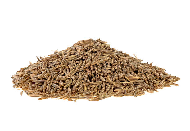 Grains of caraway culinary spice isolated on a white background. Spice aroma cumin seeds. Grains of caraway culinary spice isolated on a white background. Spice aroma cumin seeds. carum carvi stock pictures, royalty-free photos & images