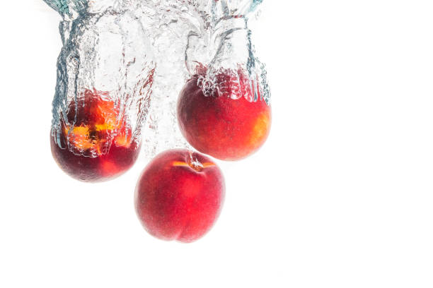 Nectarine fruits splashing into water and sinking with air bubbles isolated on white background