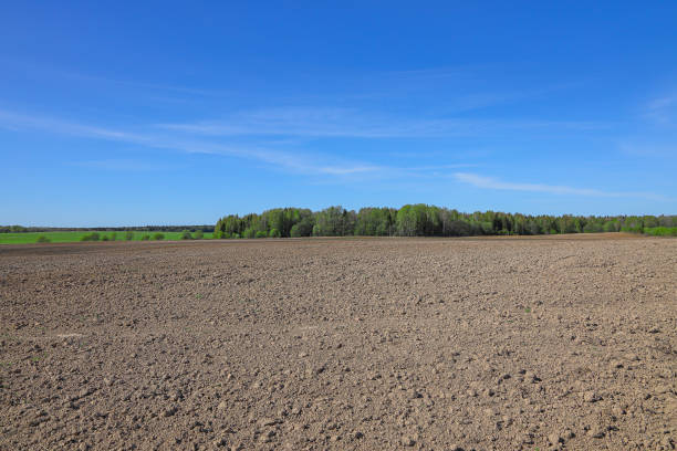 istock Ploughed agricultural field in the spring 1213036841