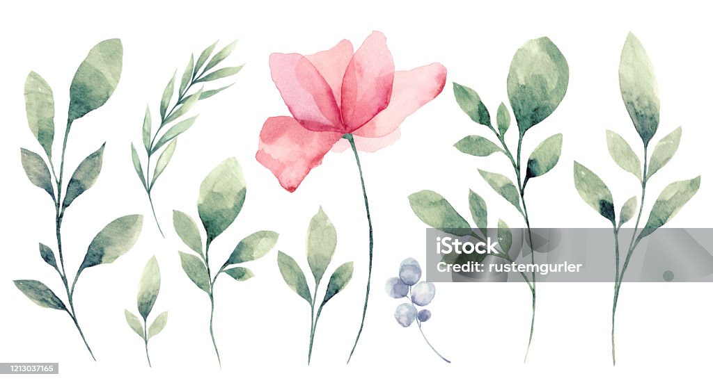 Conjunto de acuarela Flor y hojas verdes - Ilustración de stock de Flor libre de derechos
