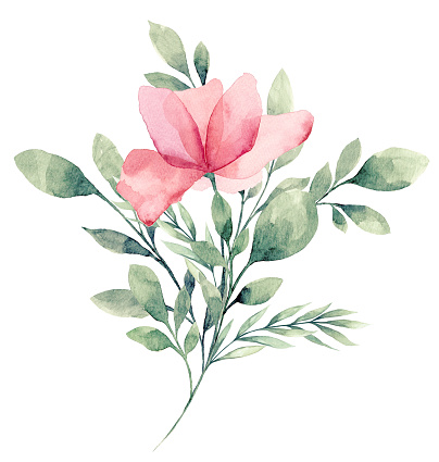 Watercolor Flower White Background Stock Illustration - Download Image ...