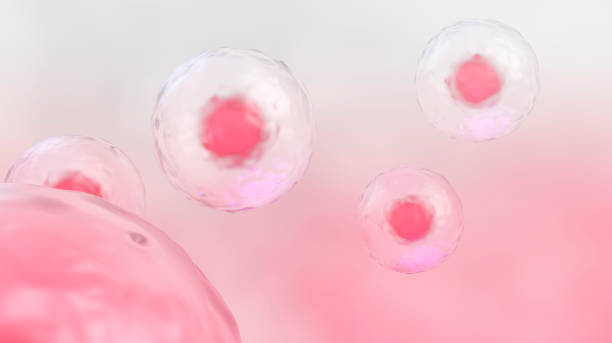 istock 3D illustration of human cells 1213038617