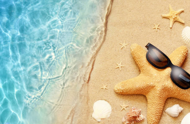 istock Summer sand beach background. Starfish and sea. Summer concept. 1213039026