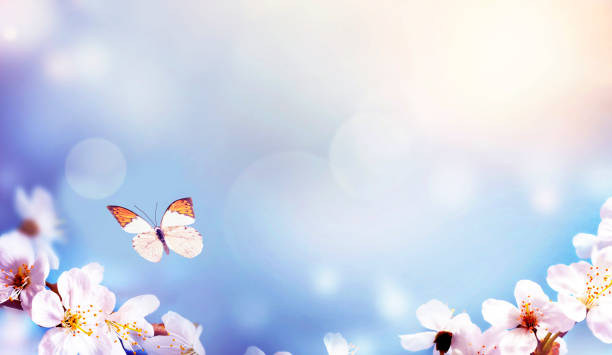istock Blossom tree over nature background. Spring flowers. Spring Background 1213039199