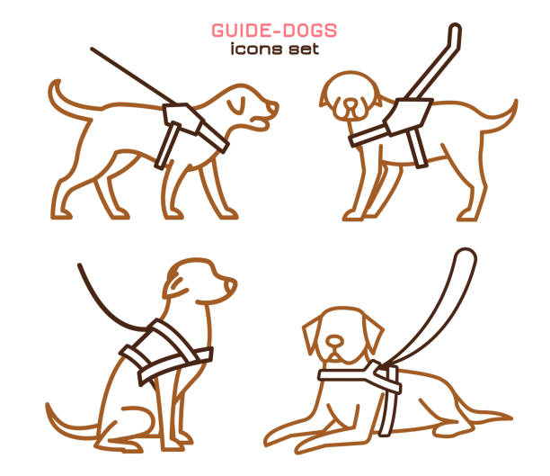 illustrations, cliparts, dessins animés et icônes de ensemble d’icônes de chien de guide - optics store