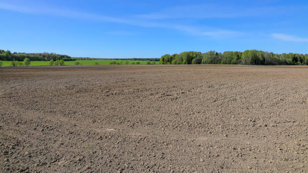 istock The agricultural field is plowed in early spring 1213040596