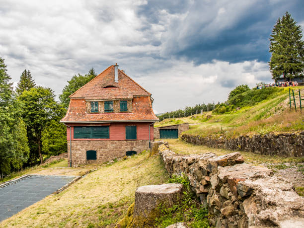 Pictures of the hill \