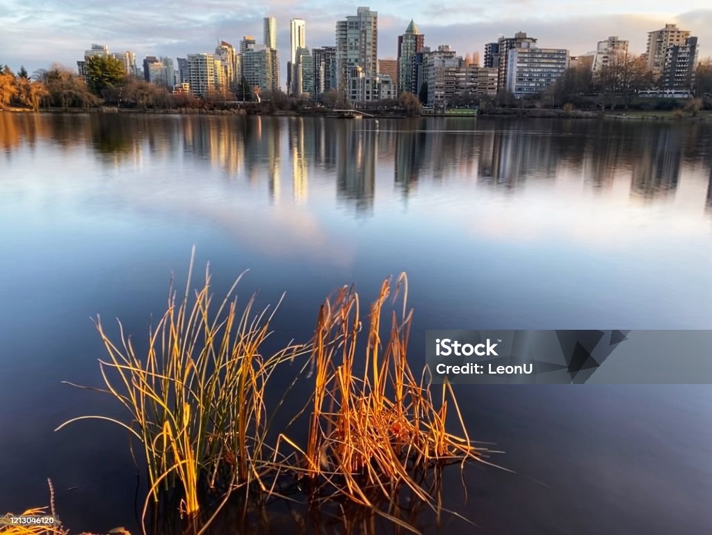 Winter Sunset in Stanley Park, Vancouver, Canada Lost Lagoon on a sunny Winter afternoon, Vancouver skyline in the background. Beauty In Nature Stock Photo
