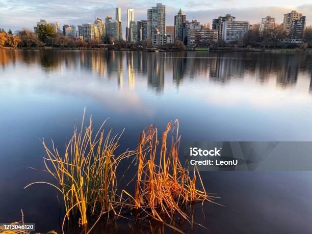 Winter Sunset In Stanley Park Vancouver Canada Stock Photo - Download Image Now - Beauty In Nature, Blue, British Columbia