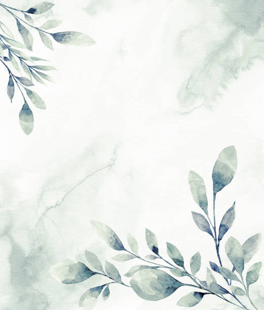 수채화 열대 잎꽃 프레임 - eucalyptus tree stock illustrations