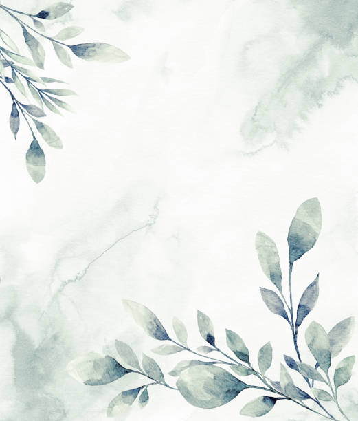ilustrações de stock, clip art, desenhos animados e ícones de floral frame with watercolor tropical leaves - spring flower tree decoration