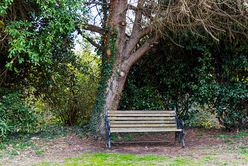 Asian elderly woman depressed and sad sitting back on bench in autumn park.