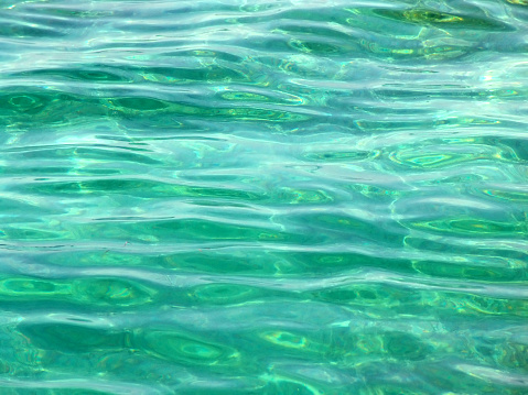 close-up of green water 