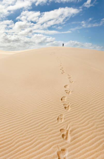 istock stockton sand dunes 1213056159