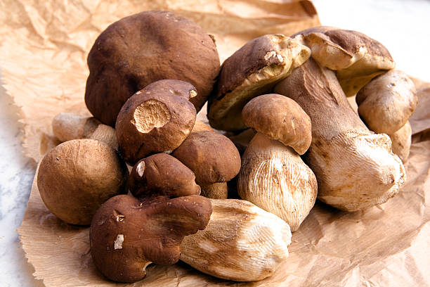 A pile of porcini mushrooms on a brown crumpled paper fresh porcini porcini mushroom stock pictures, royalty-free photos & images