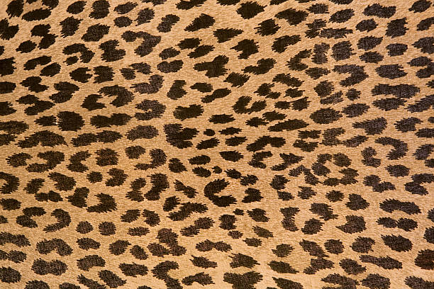 Leopard patterned fabric pattern stock photo