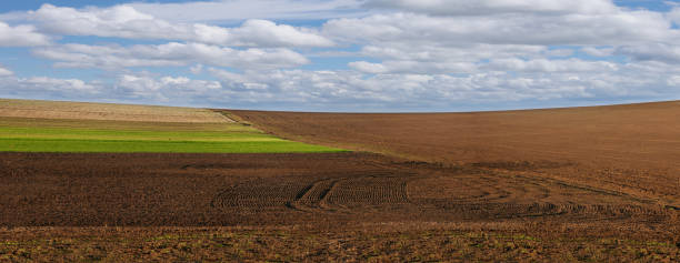istock panoramic view of plowed fields, gardens in the evening light and cloudly sky 1213061731