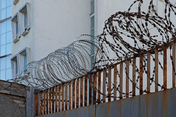 istock Barbed wire egoza spiral on the fence. 1213065444