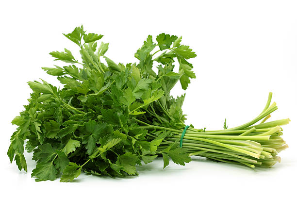 persil italien - flat leaf parsley photos et images de collection
